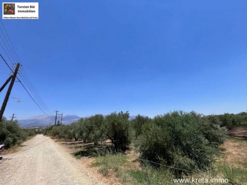 Sivas Professioneller Olivenhain in Anadasmos Siva– Gelegenheit zur landwirtschaftlichen Nutzung und Gewächshausprojekt Grundstück